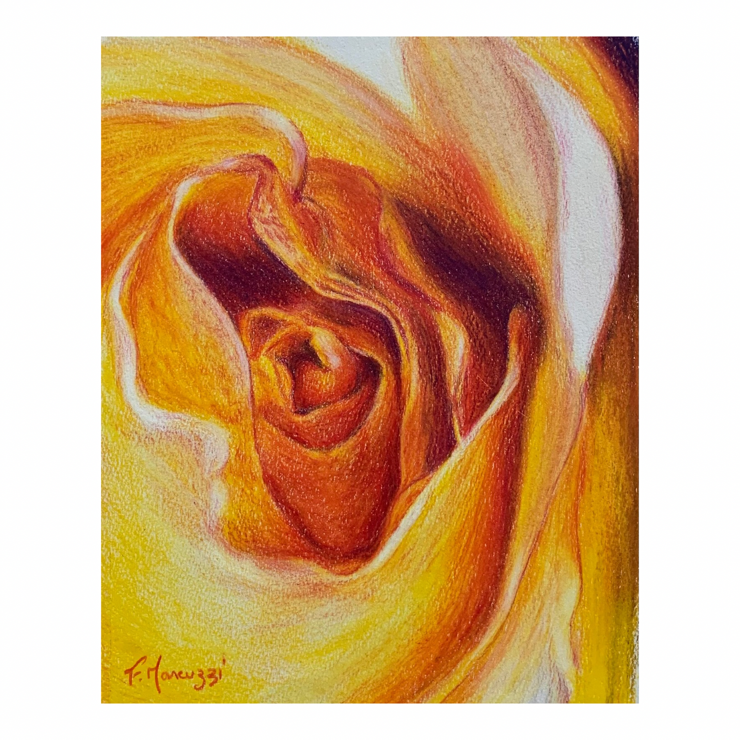 Fleur de vie